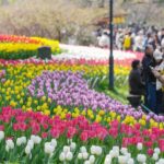 EU Culture Street 2026 opens in Hangzhou China