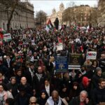 UK Palestine Policy Criticism From Labour MP